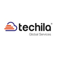 Techila Services